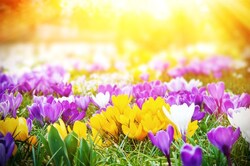 Spring Clean & Service Special! Spring Clean & Service Special!