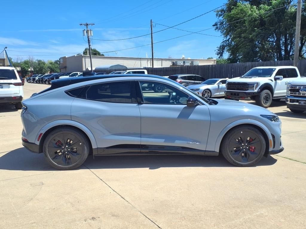 2025 Ford Mustang Mach-E GT - Photo 6
