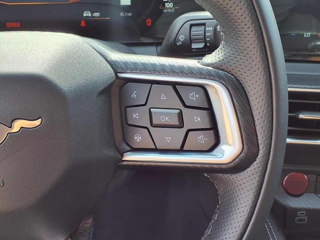 2025 Ford Mustang GT Premium Fastback - Photo 13