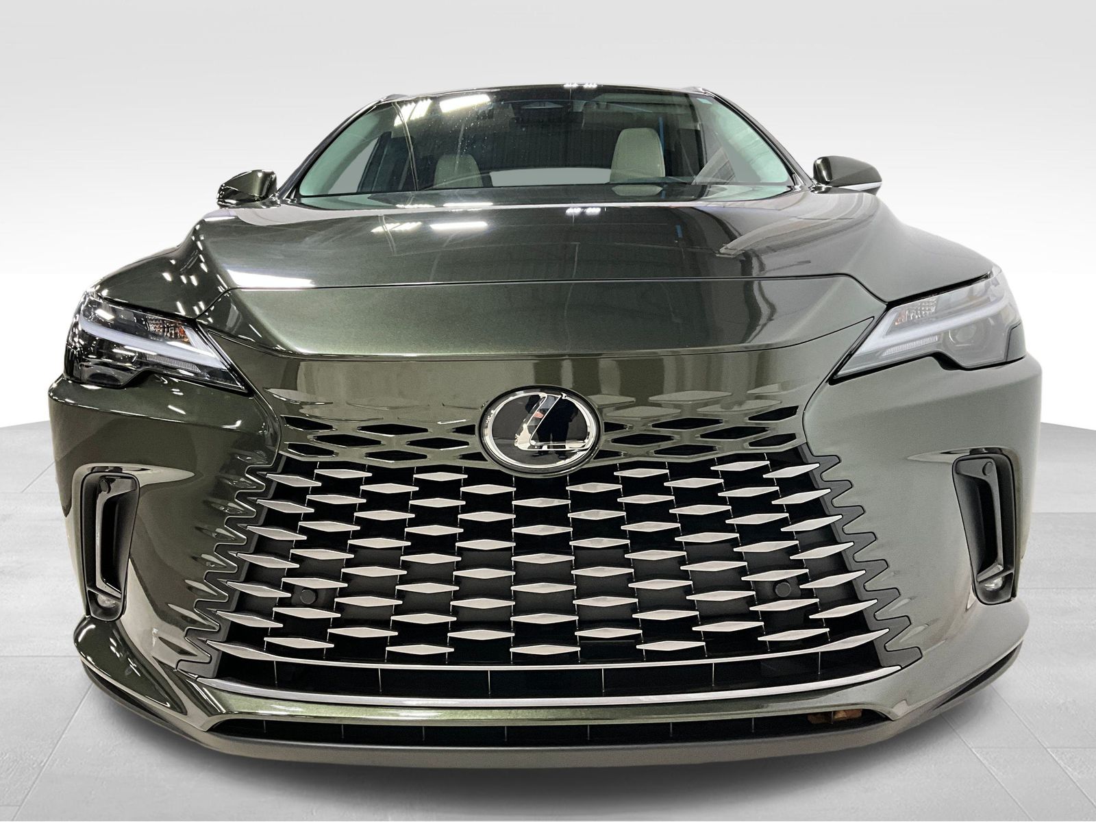 2024 Lexus RX 350h photo 2