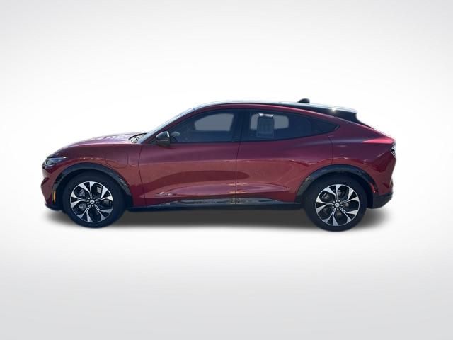 Used 2021 Ford Mustang Mach-E Premium AWD with VIN 3FMTK3SU7MMA66472 for sale in Smyrna, DE