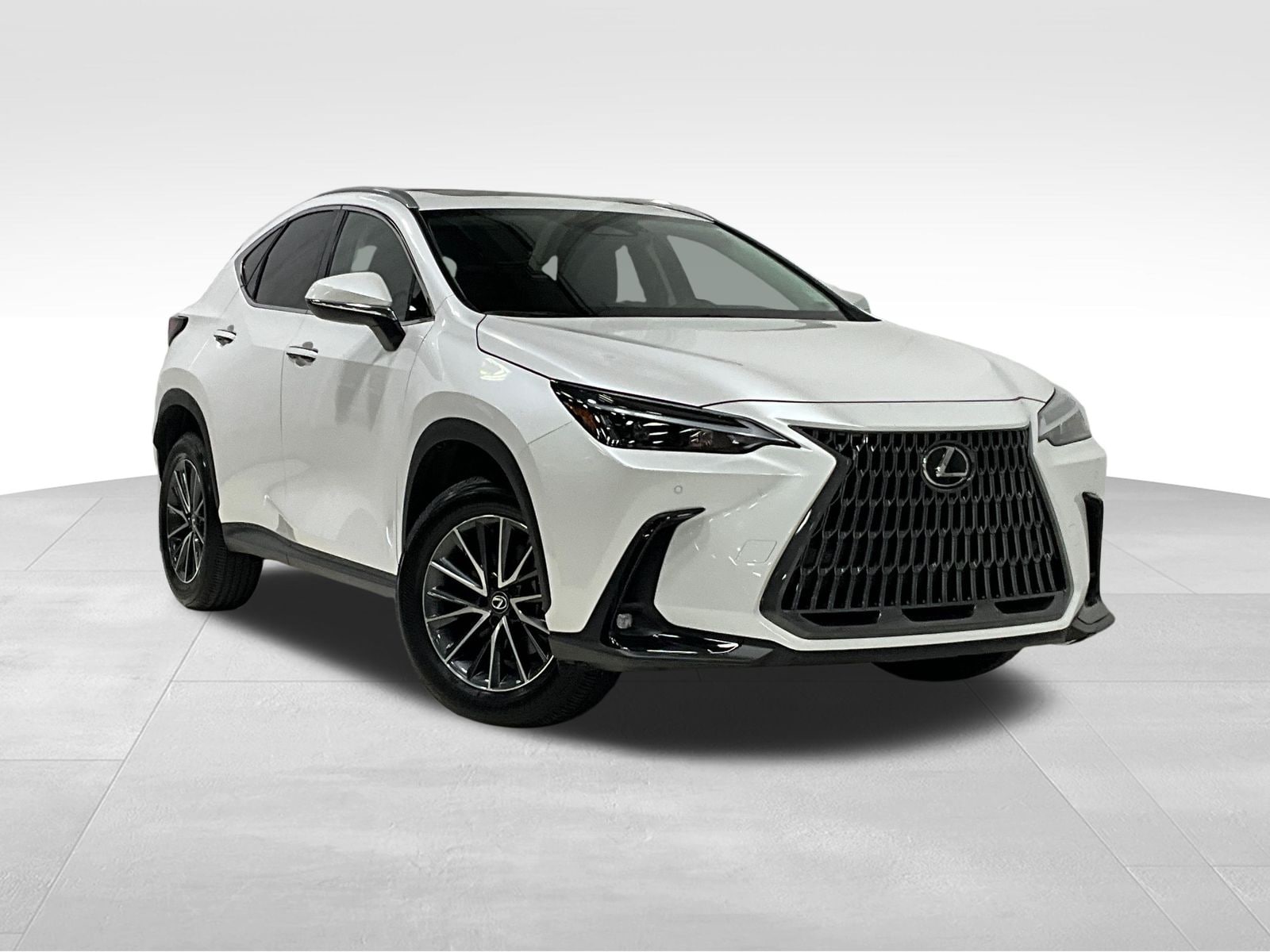 2025 Lexus NX 350 Base