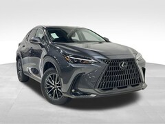2025 LEXUS NX 250 Sport Utility