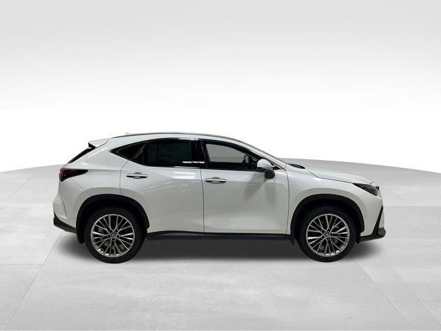 2026 Lexus NX 350h Luxury photo 2