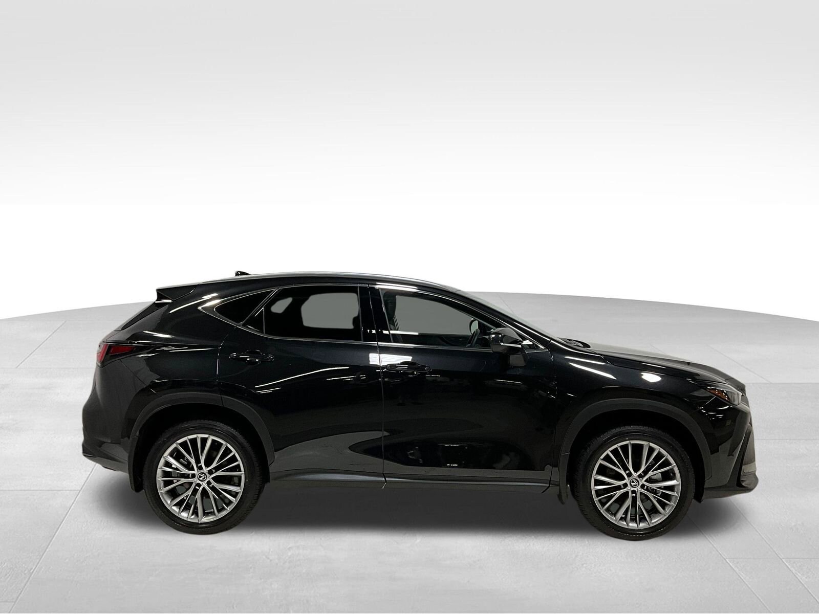 2025 Lexus NX 350h Premium photo 3