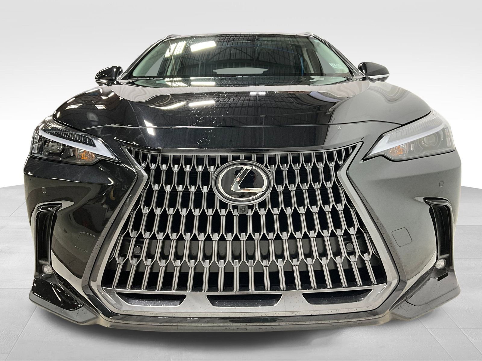 2025 Lexus NX 350h Premium photo 2