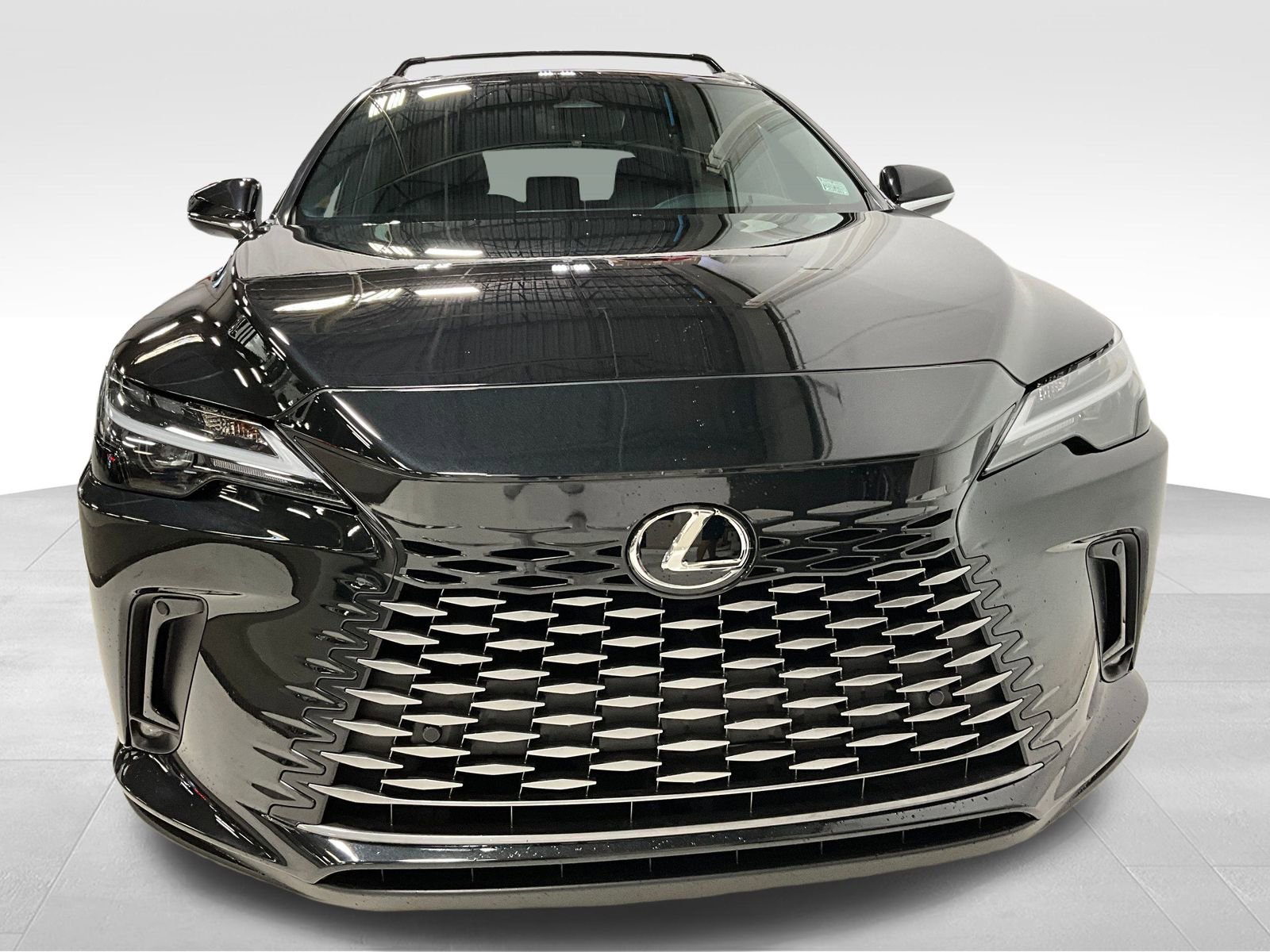 2023 Lexus RX 350 Premium photo 2