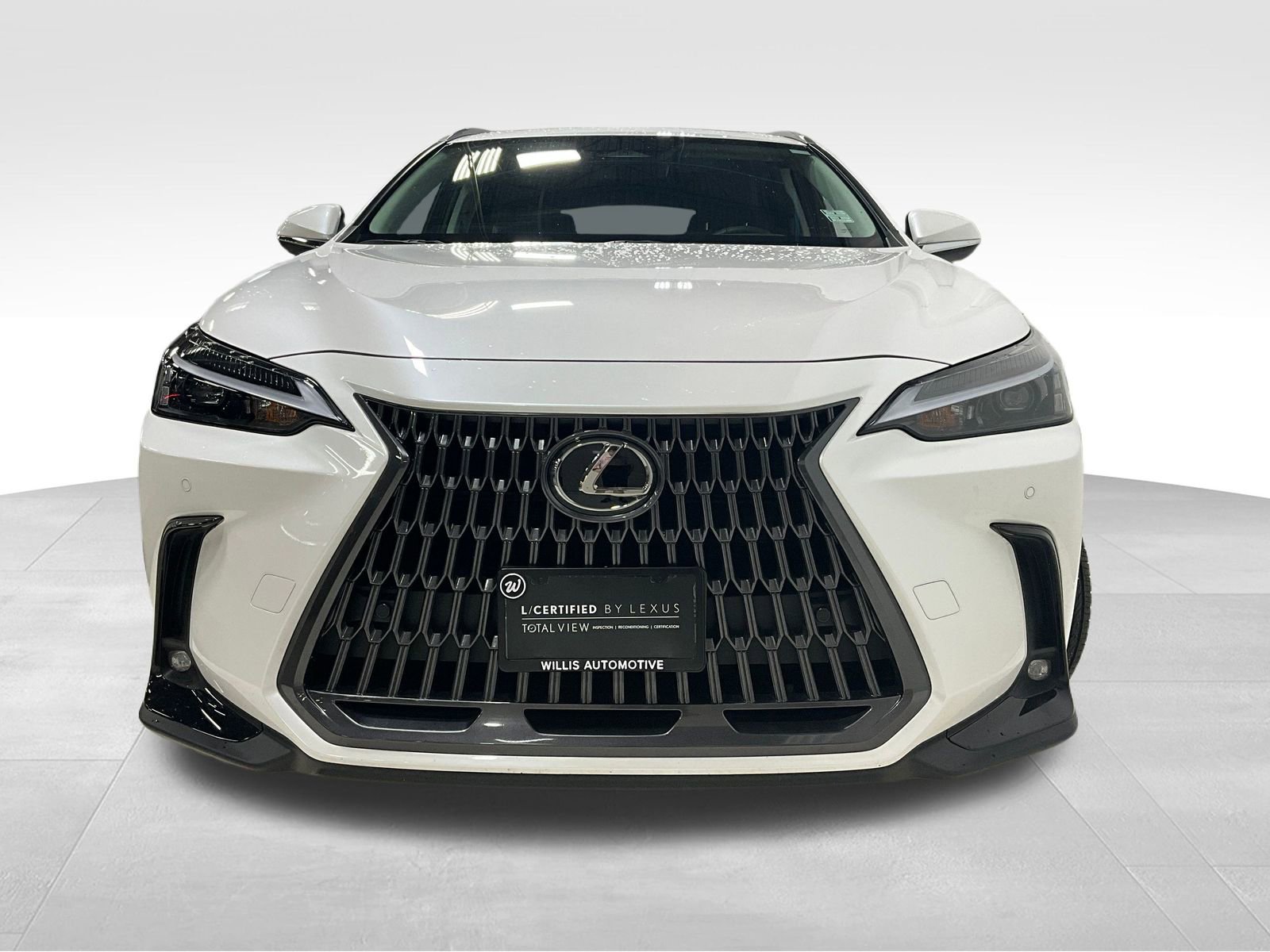 2025 Lexus NX 350h AWD photo 2
