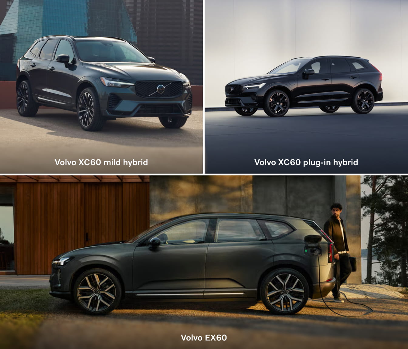 Volvo XC60 mild hybrid and plug-in hybrid models shown above a Volvo EX60 connected to a charging cable.