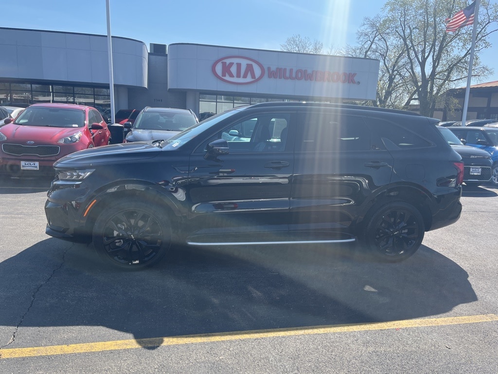 Certified 2023 Kia Sorento SX with VIN 5XYRKDLF6PG210986 for sale in Willowbrook, IL