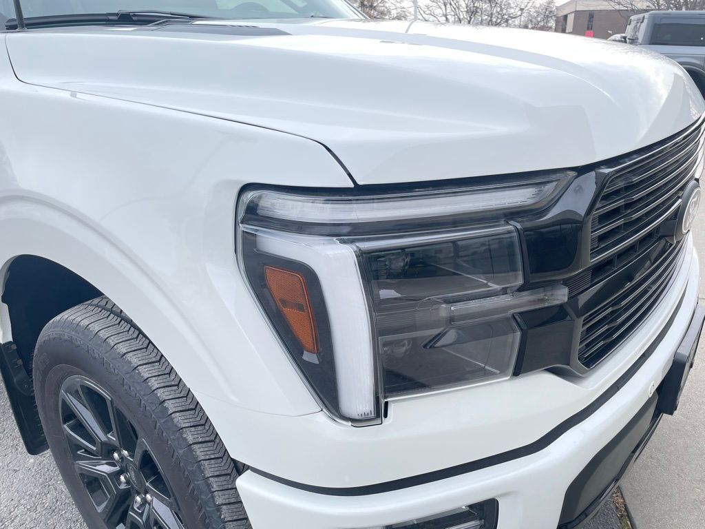 2025 Ford F-150 Platinum - Photo 30