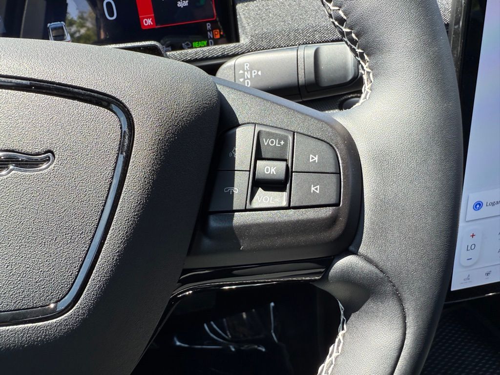 2025 Ford Mustang Mach-E GT - Photo 16