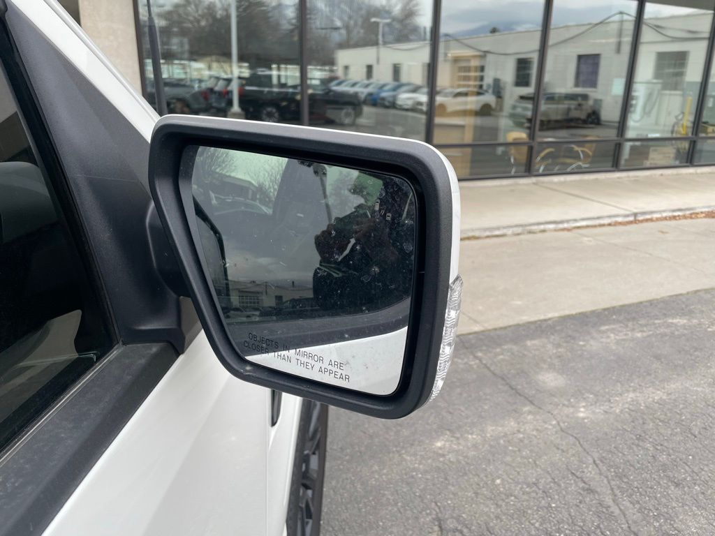 2025 Ford F-150 Platinum - Photo 29