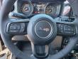 2025 Jeep Wrangler 2-DOOR WILLYS Sport Utility