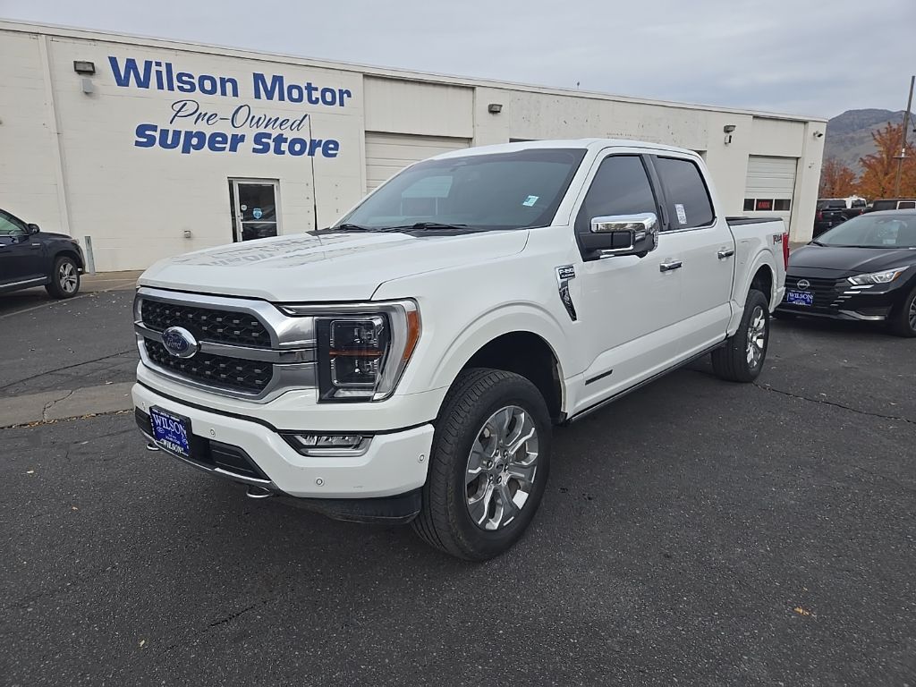 2023 Ford F-150 Platinum's photo