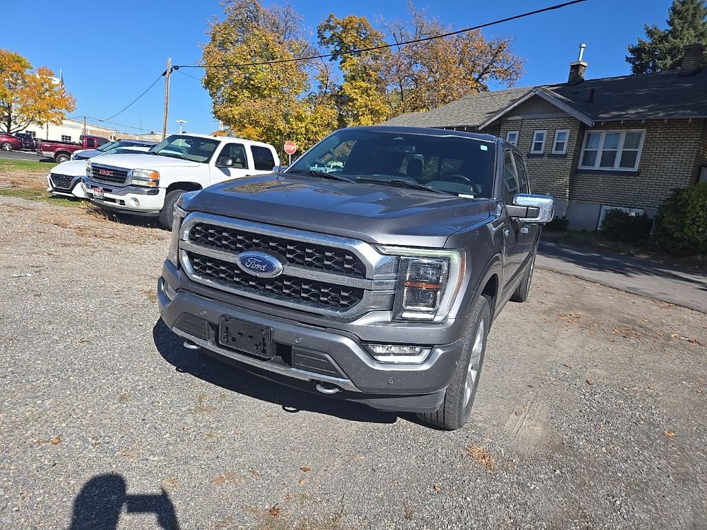 2023 Ford F-150 Platinum photo 3