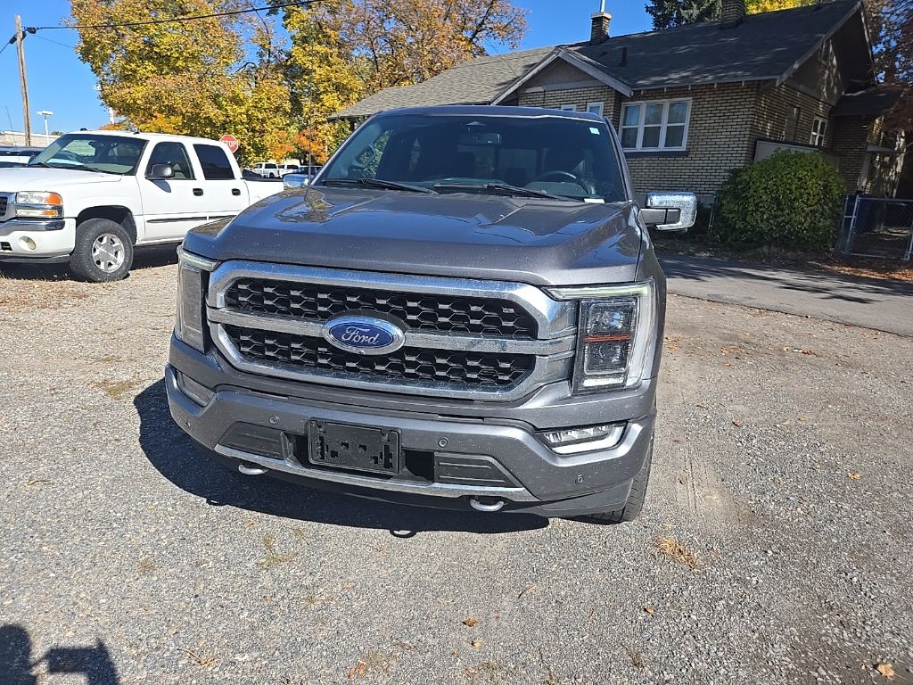 2023 Ford F-150 Platinum photo 2