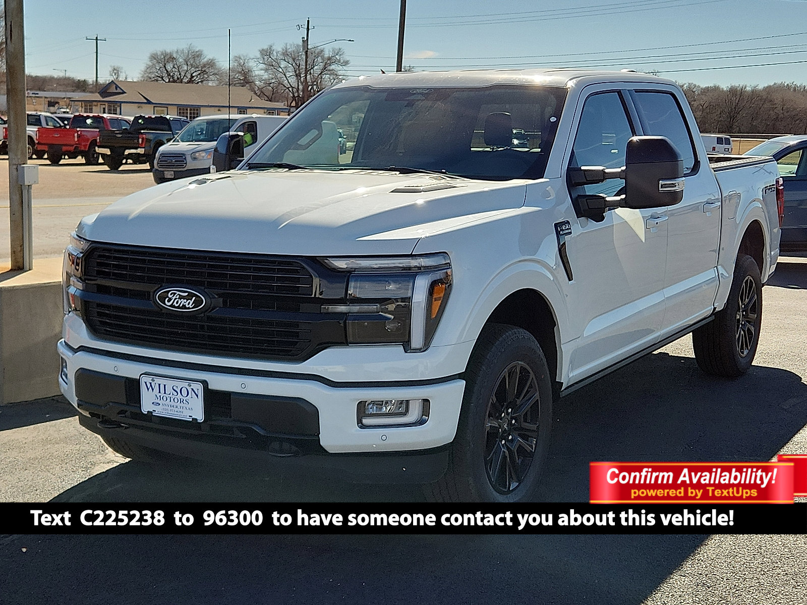 2025 Ford F-150 Platinum's photo