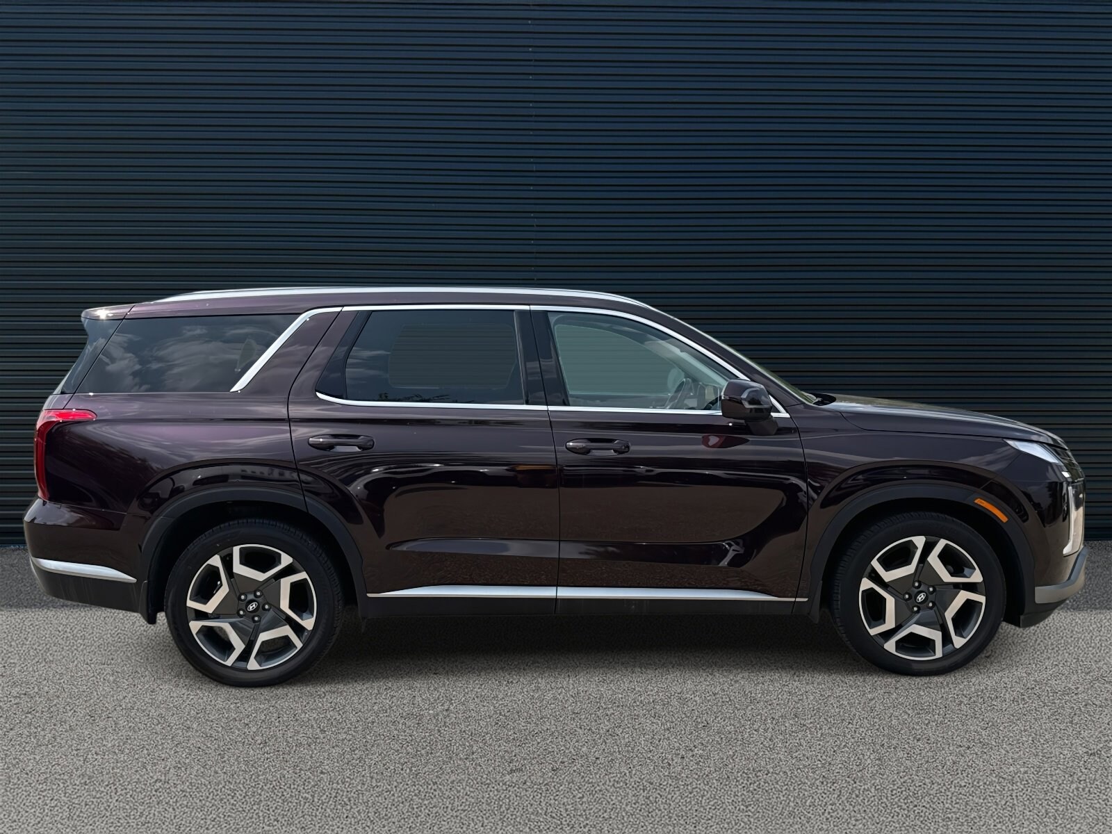 2023 Hyundai Palisade SEL photo 4