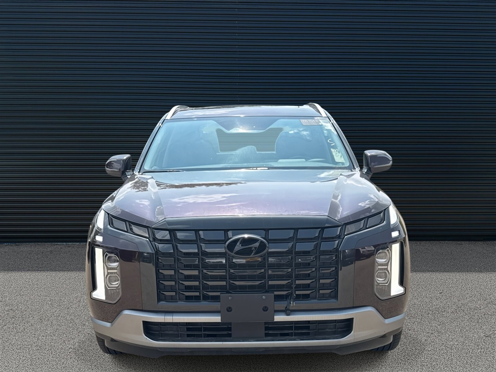 2023 Hyundai Palisade SEL photo 2