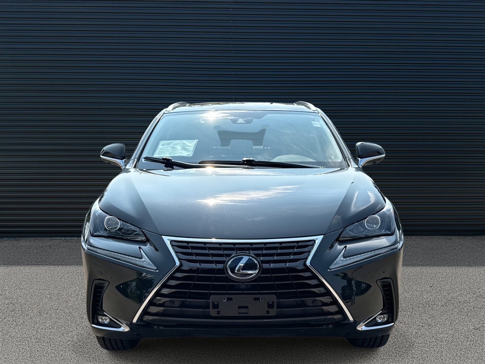 2020 Lexus NX 300h Premium photo 2
