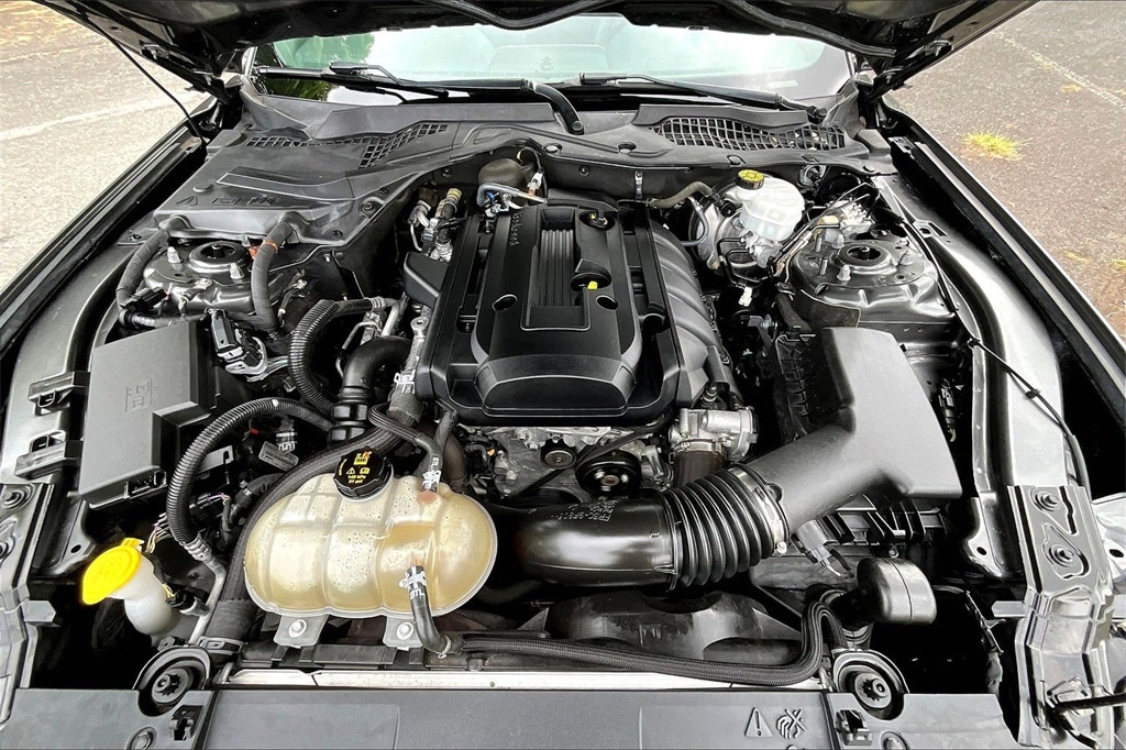 Image 9 of 2019 Ford Mustang Coupe