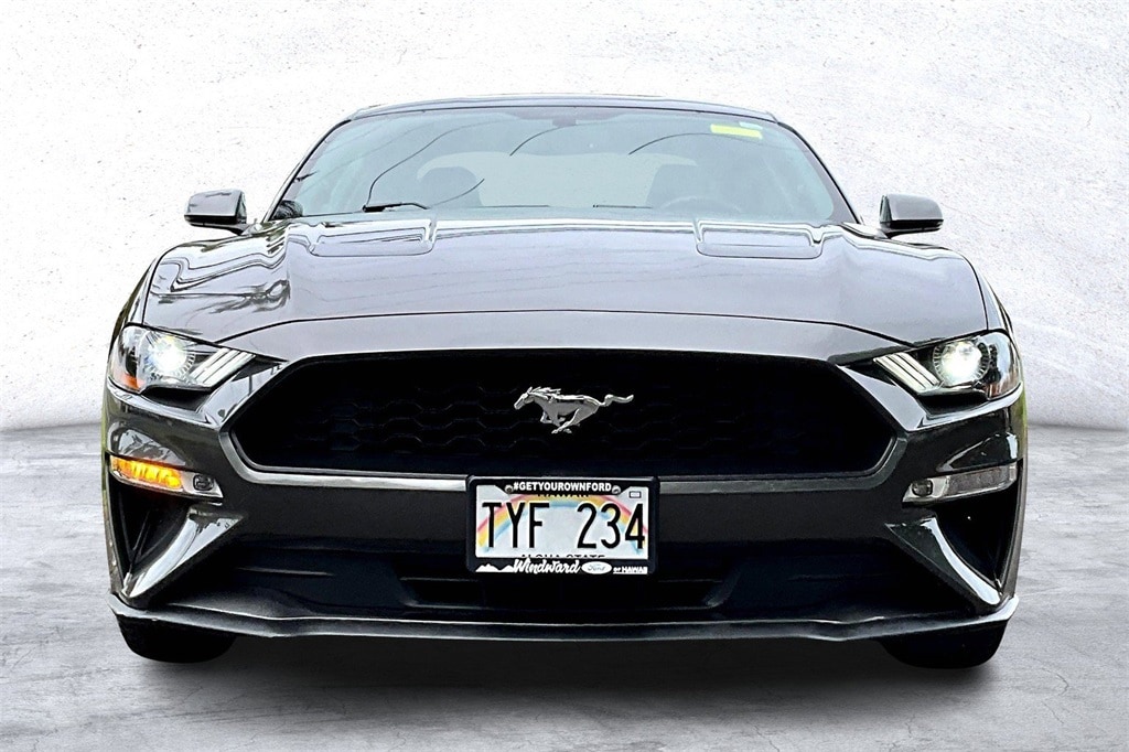 Image 3 of 2019 Ford Mustang Coupe