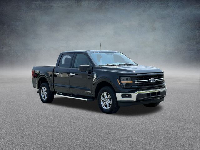 2024 Ford F-150 XLT photo 3