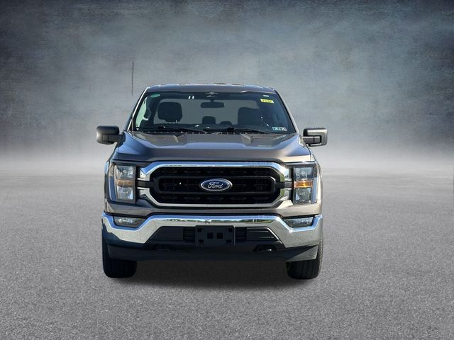 2023 Ford F-150 XLT photo 2