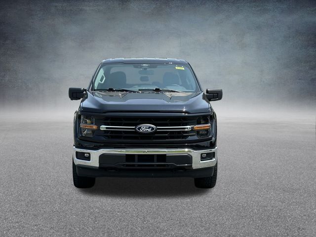 2024 Ford F-150 XLT photo 2