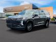 New 2025 Hyundai Palisade Calligraphy Night Edition AWD SUV