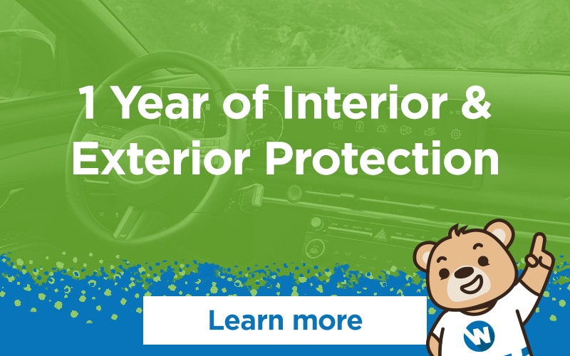interior and exterior protection