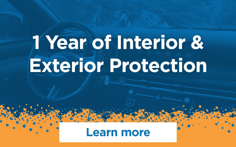 interior and exterior protection
