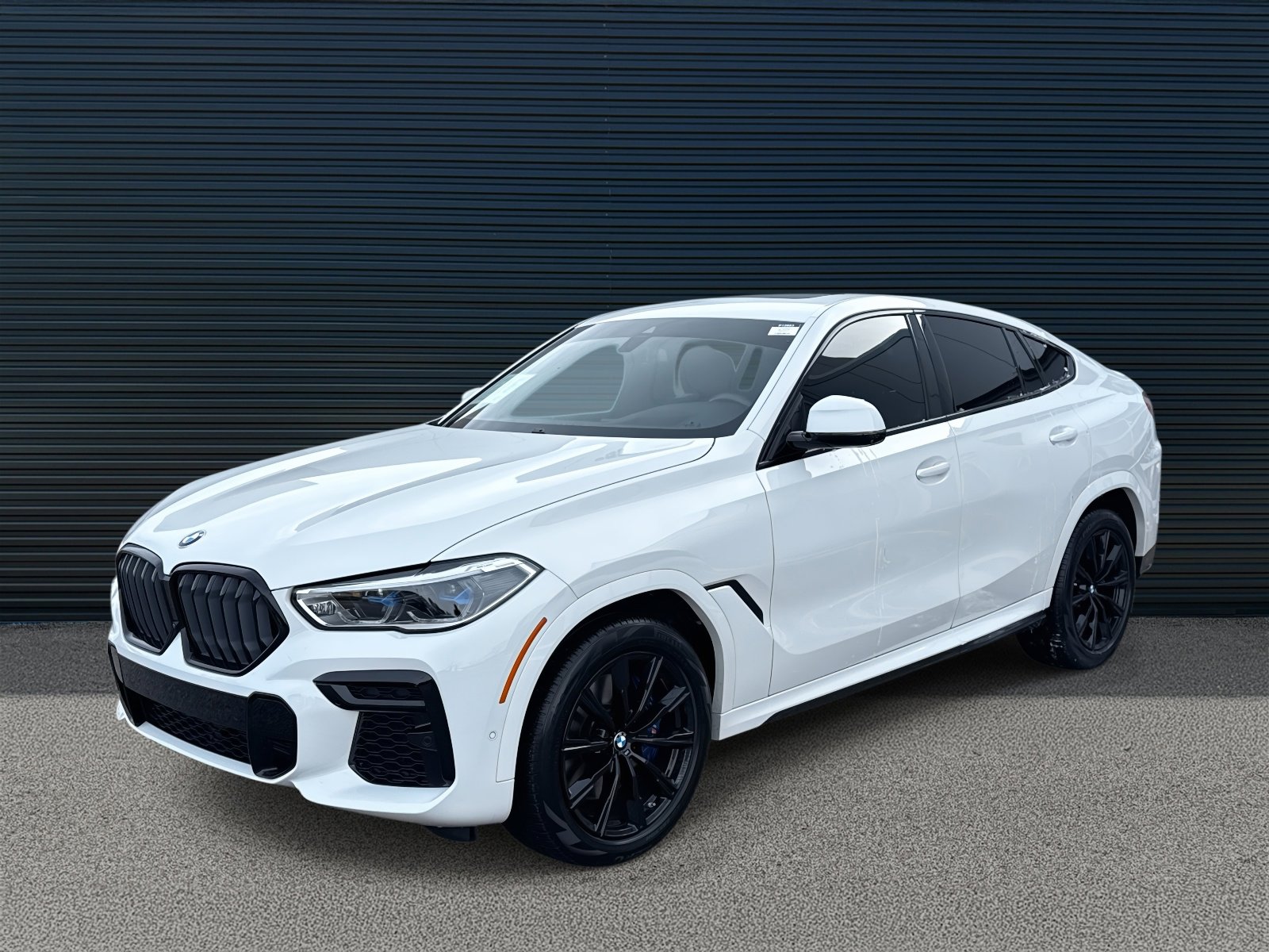 2023 BMW X6 40i's photo