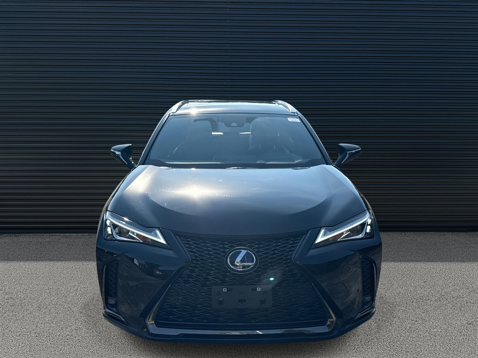 2021 Lexus UX 250h F SPORT photo 2
