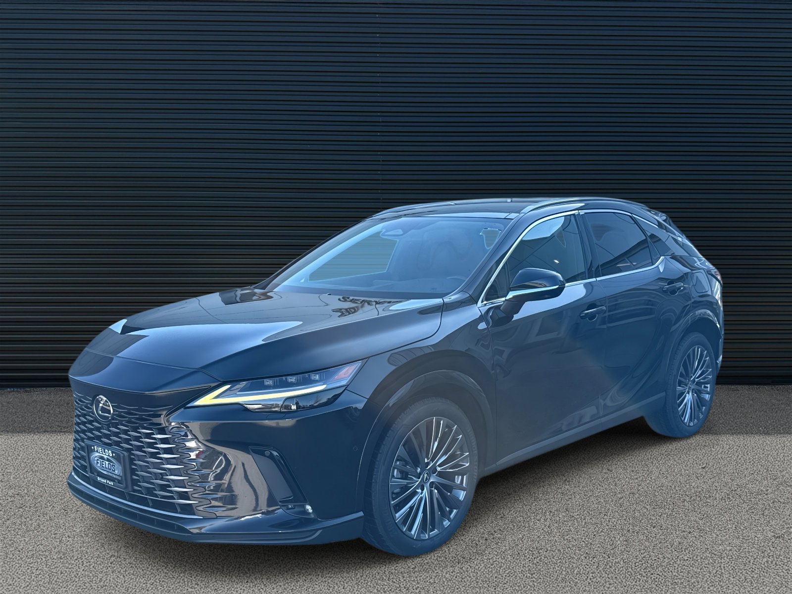 2023 Lexus RX 350's photo