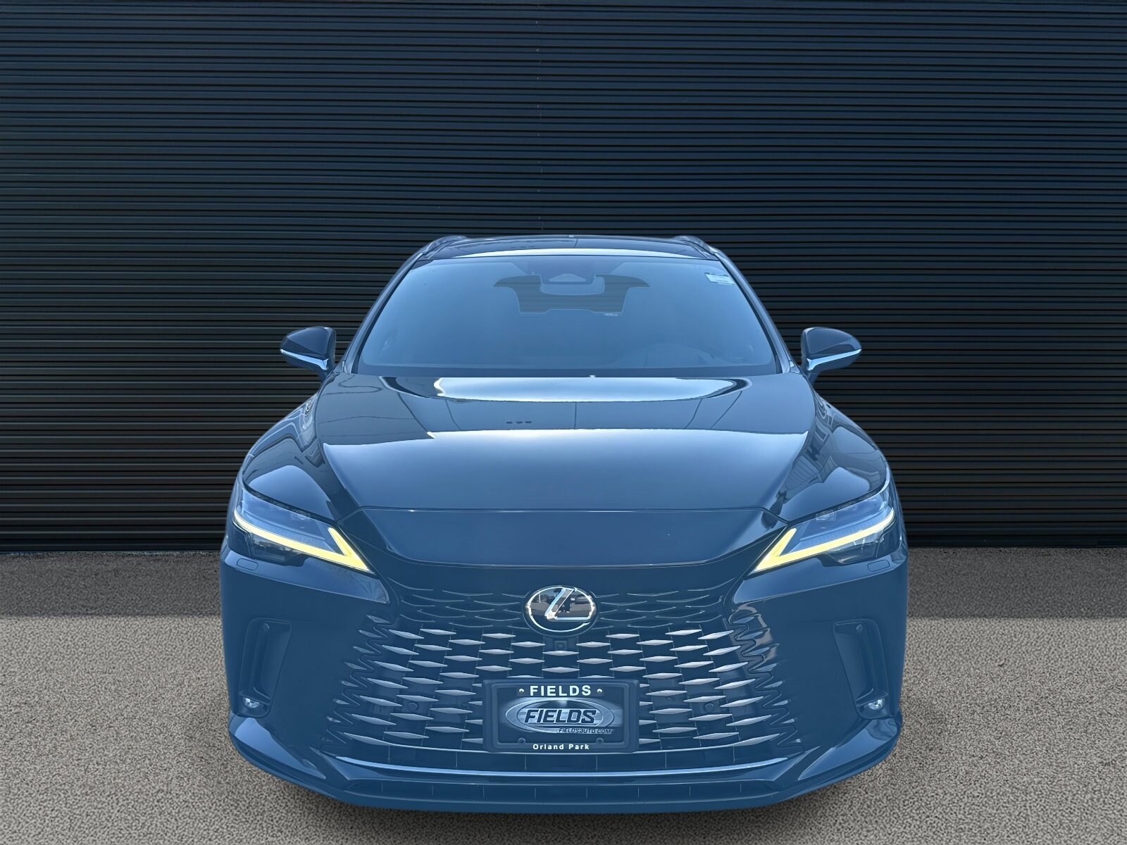 2023 Lexus RX 350 Luxury AWD photo 2