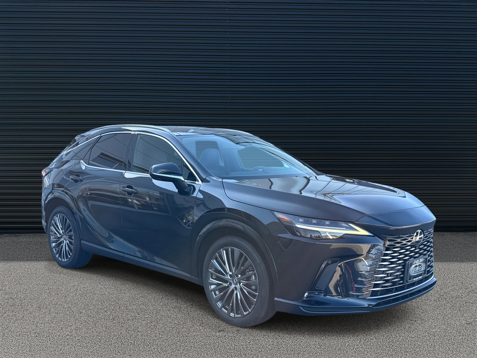 2023 Lexus RX 350 Luxury AWD photo 3