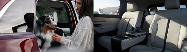 CX90-Interior-Pets-SeatingConfig.jpg