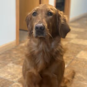 Staff member Maggie from ID_a4d67b