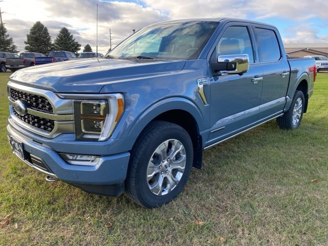 2023 Ford F-150 Platinum photo 3