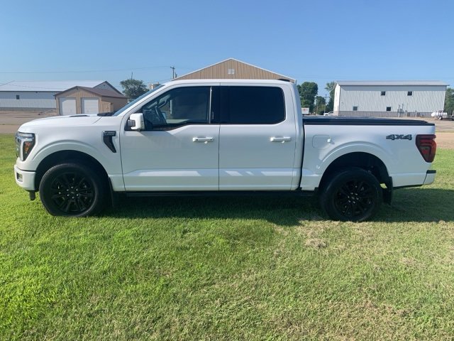 2024 Ford F-150 Platinum photo 4