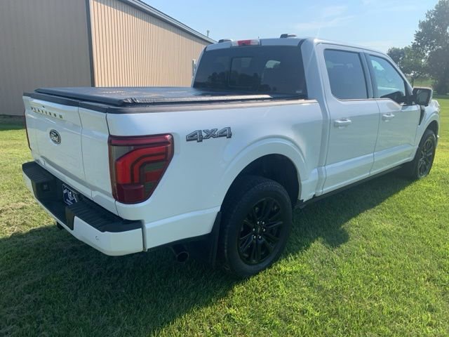 2024 Ford F-150 Platinum - Photo 6