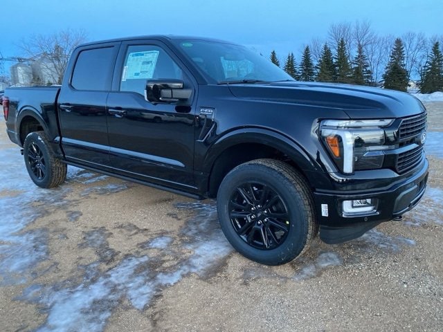 2025 Ford F-150 Platinum's photo