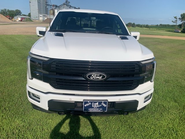 2024 Ford F-150 Platinum photo 2