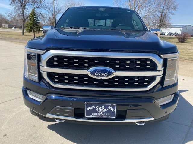 Used 2022 Ford F-150 Platinum with VIN 1FTFW1E54NFB68599 for sale in Lidgerwood, ND