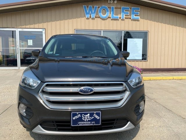 2017 Ford Escape SE photo 2