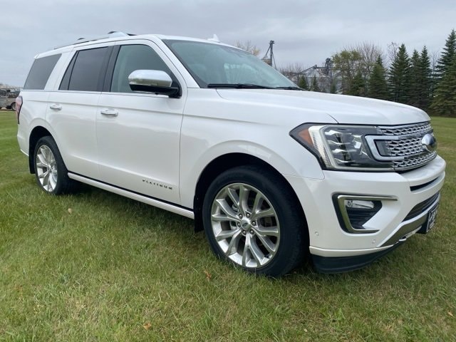 2019 Ford Expedition Platinum's photo