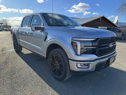 2025 Ford F-150 Platinum Truck