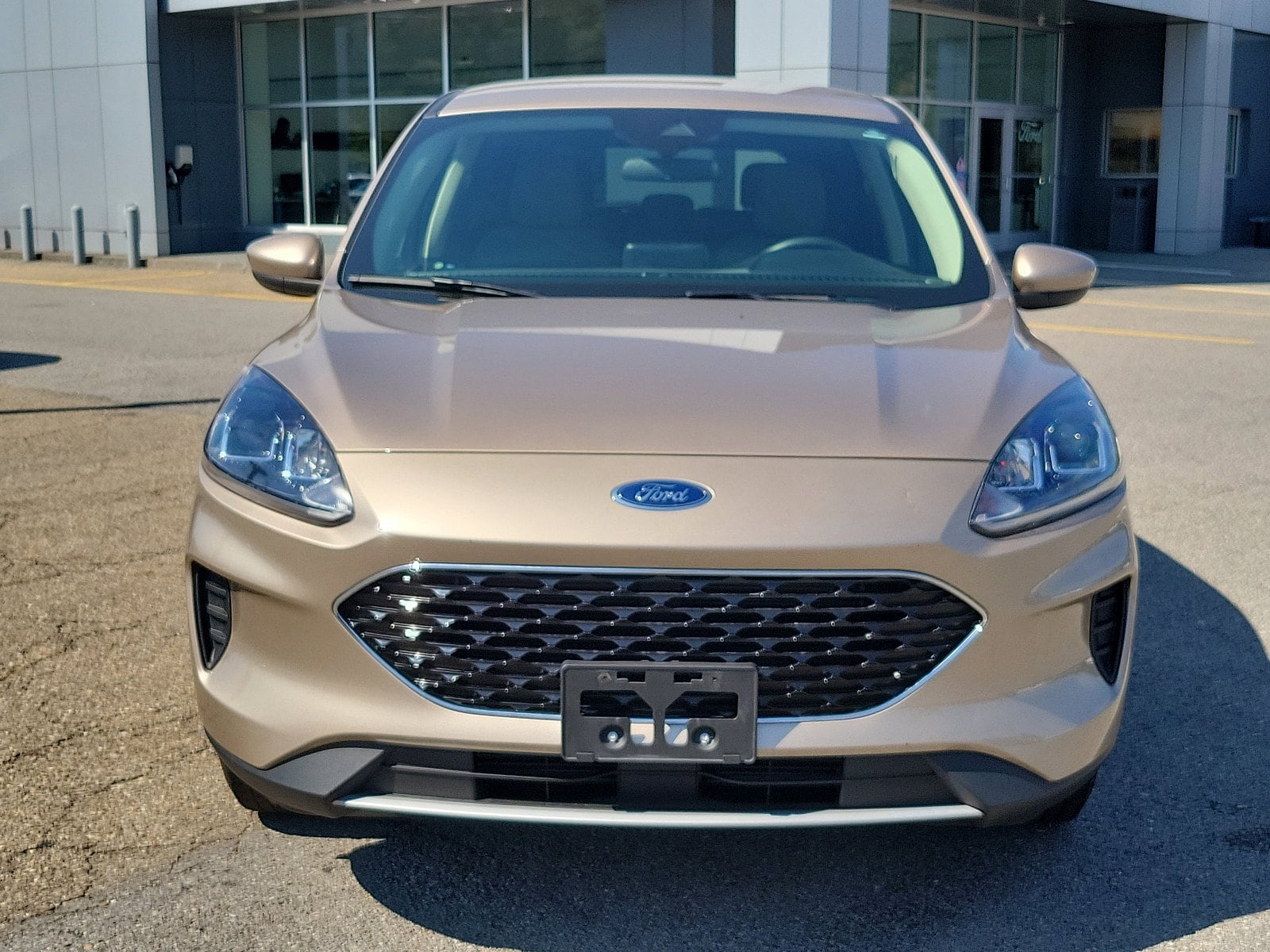 Certified 2020 Ford Escape SE with VIN 1FMCU9G68LUC73762 for sale in Heidelberg, PA